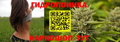 каннабис Кингисепп