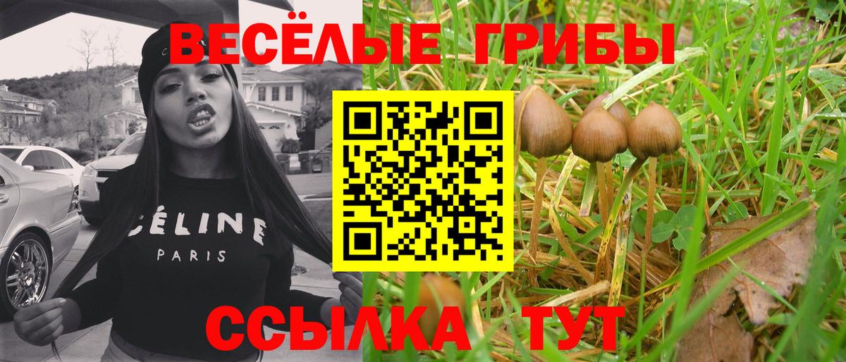Галлюциногенные грибы Psilocybe  Вход с VPN  Бирск 